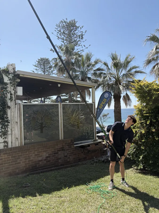 Water fed pole cleaning